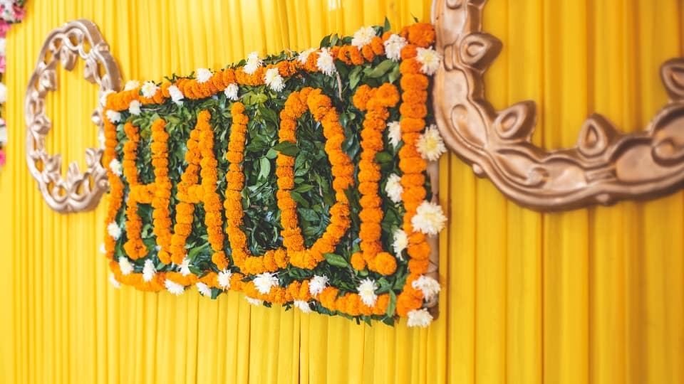 HALDI